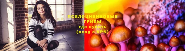 ГАЛЛЮЦИНОГЕННЫЕ ГРИБЫ Болохово