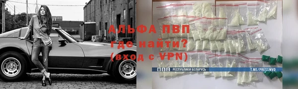 СК Волосово