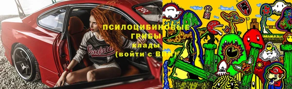 СК Волоколамск