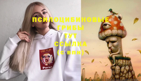 амф Верея