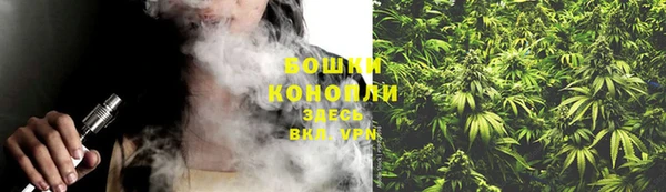 СК Волосово